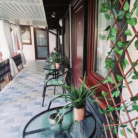 Pensiunea Red Rose Apartments Timişoara Exterior foto