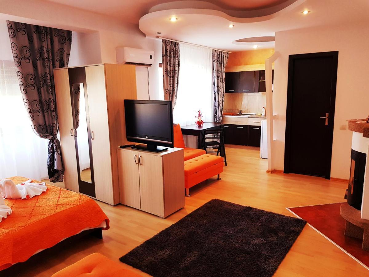 Pensiunea Red Rose Apartments Timişoara Exterior foto