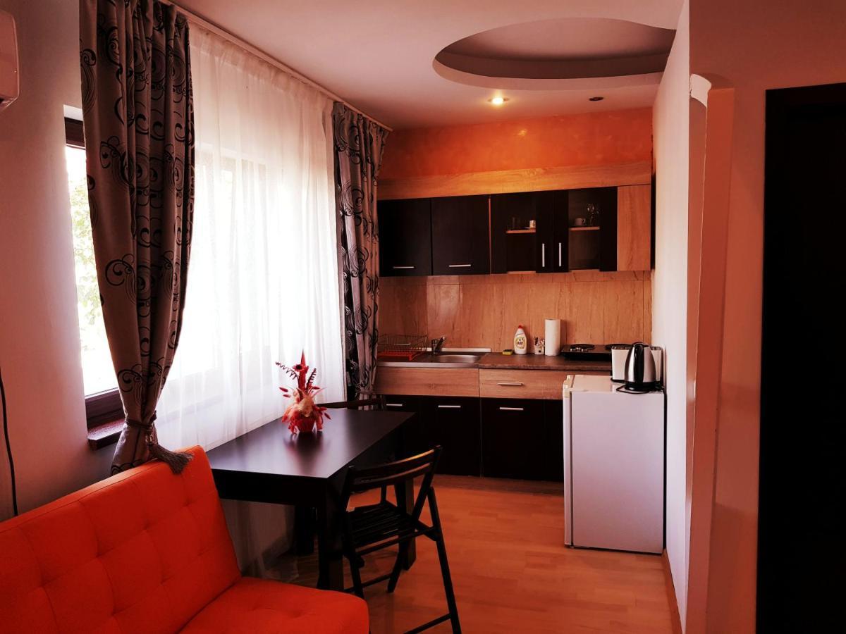 Pensiunea Red Rose Apartments Timişoara Exterior foto