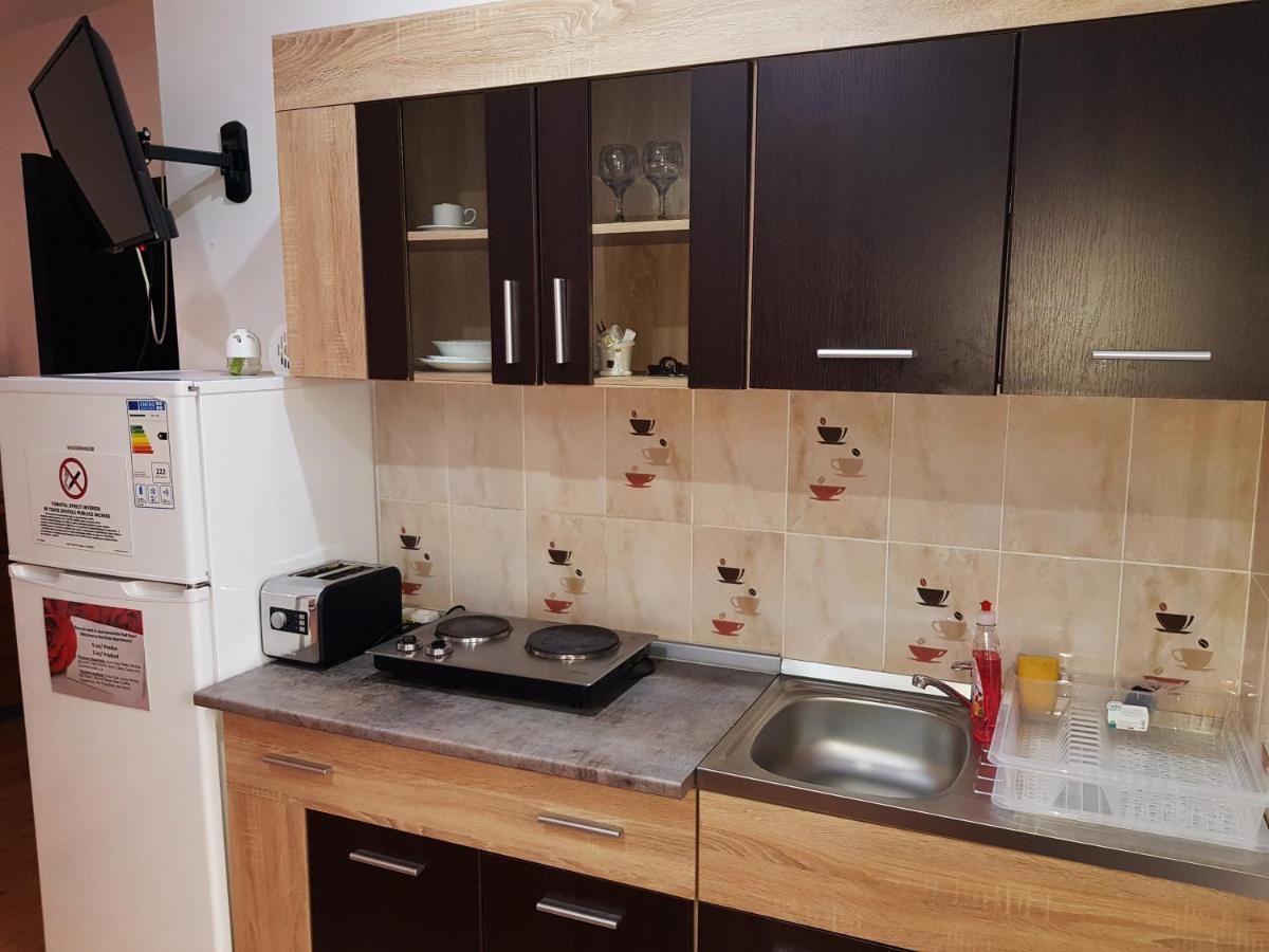 Pensiunea Red Rose Apartments Timişoara Exterior foto