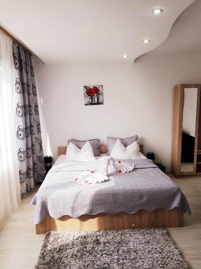 Pensiunea Red Rose Apartments Timişoara Exterior foto