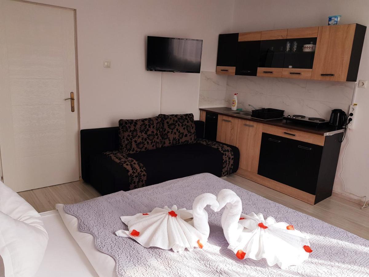 Pensiunea Red Rose Apartments Timişoara Exterior foto