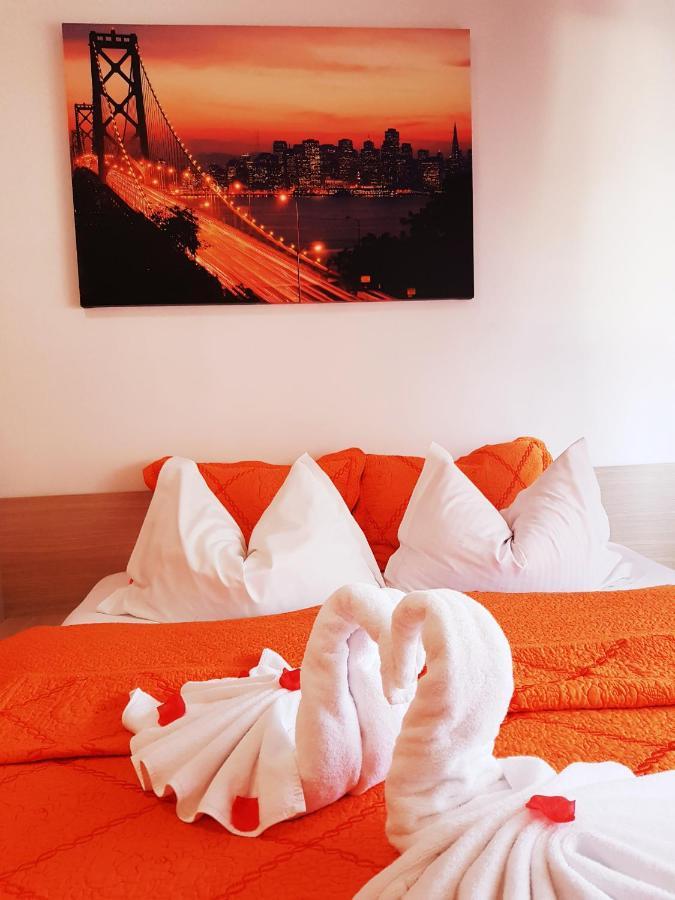 Pensiunea Red Rose Apartments Timişoara Exterior foto