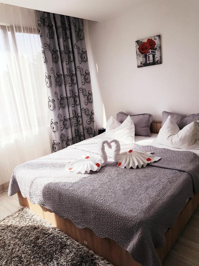 Pensiunea Red Rose Apartments Timişoara Exterior foto