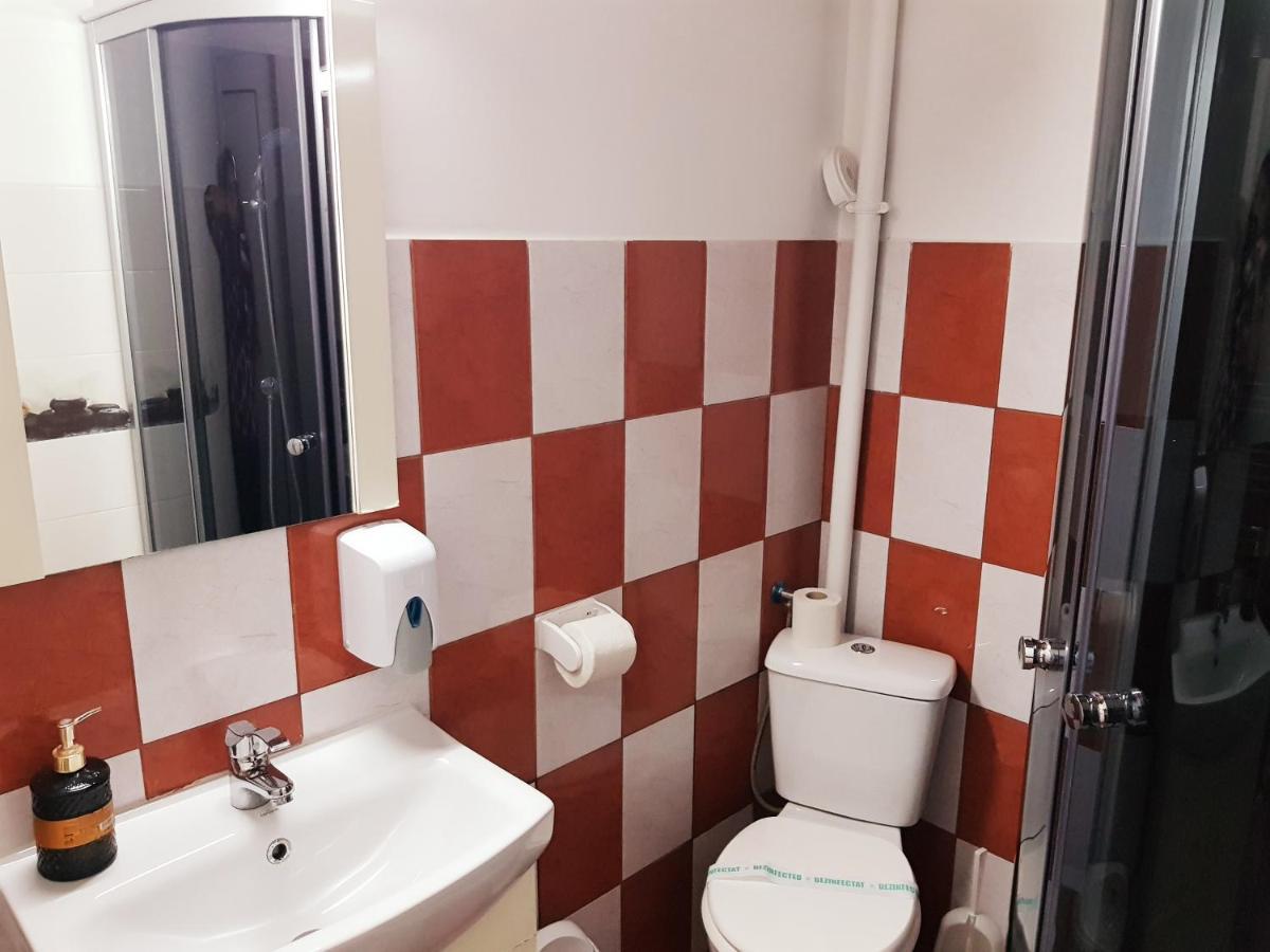 Pensiunea Red Rose Apartments Timişoara Exterior foto