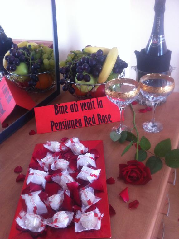 Pensiunea Red Rose Apartments Timişoara Zimmer foto