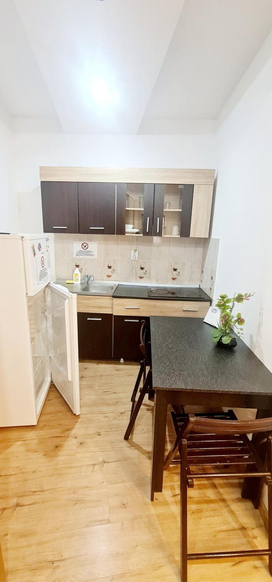 Pensiunea Red Rose Apartments Timişoara Exterior foto