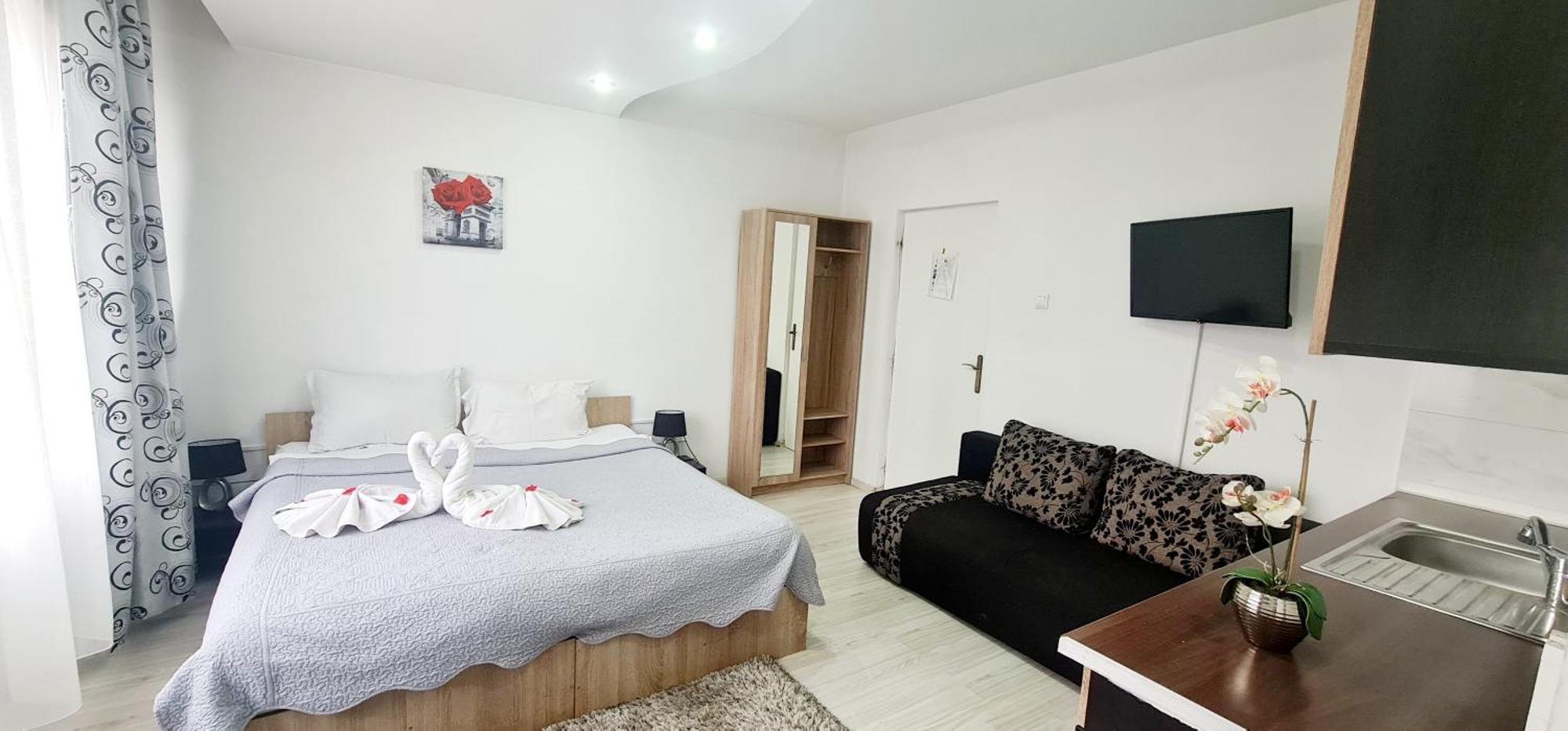Pensiunea Red Rose Apartments Timişoara Exterior foto
